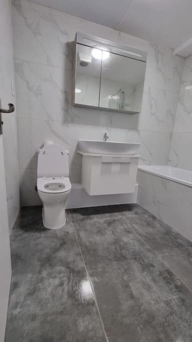 Brand New Flat Close To Turnpike Lane Tube Station Londra Dış mekan fotoğraf
